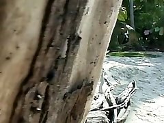 Asian orgy in the island 2-4th