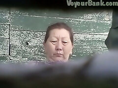 Wooly pussy of a mature Asian lady in the public toilet room