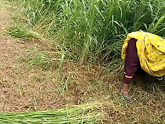 Desi Indian Bhabhi has sex with her dever, cock throating, pulverizing Desi Indian Bhabhi has sex with her dever, cock throating, pulverizing