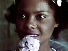 Bouncy Gum Honey Bouncy Gum Honey