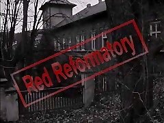 The Cub Bear The Cub Bear