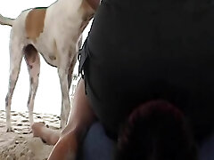 una dama alemana salvaje sentada en la cara de sus esclavos en la playa