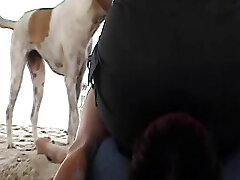A horny German lady sitting on her slaves's face at the beach
