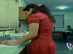 Plumbing Cougar Before Her Husband Coming Home Teaser