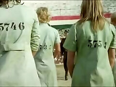 gefangene kobiet (1980)