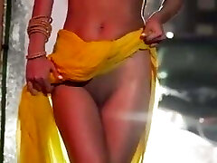 Poonam Pandey, nude dancing flick