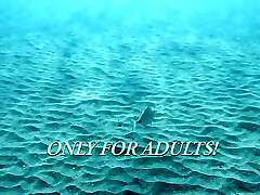 Sea adventures on Tenerife underwater Sea adventures on Tenerife underwater