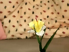 mi esposa mamá-la fiesta en casa va muy, muy mal