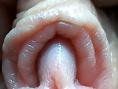klitoris nahaufnahme