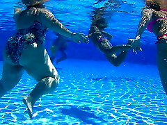 in the pool in the pool