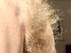 Hairy Sara's wild thicket