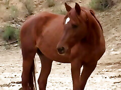 POV unload alert - Episode #18 POV unload alert - Episode #18