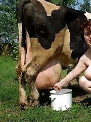 Chunky Fat Farmer Slut Banged In Paddock