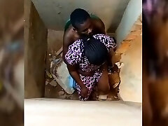 amatorskie psie ukryta kamera amatorskie psie ukryta kamera