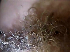 My Favourite Pussy My Favourite Pussy