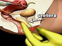 you must know you must know