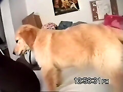 Sd - donna fucks her bf richard again in her dormitory for a creampie