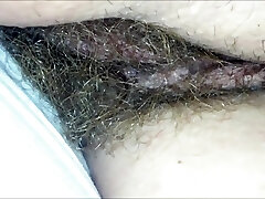 Hairy agnes solo Hairy agnes solo