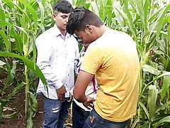 indische pooja-shemale-freunde haben heute neue freunde zum pooja-maisfeld mitgenommen und drei freunde hatten viel spaß beim sex