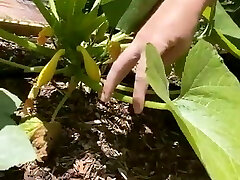 Linz DeFranco using any excuse to show off her fake boobs Linz DeFranco using any excuse to show off her fake boobs