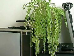 Auf der Pornocouch erst mal richtig gefickt Auf der Pornocouch erst mal richtig gefickt