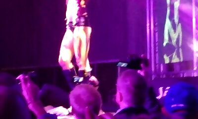 Kittycat auf der Venus 2016