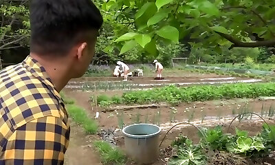 Cute Chinese Blowjob And Sex In Hotel