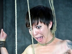 It looks like a door framework but some plain modifications have made it the perfect way to keep Mei Mara in place for the next leg of our feed