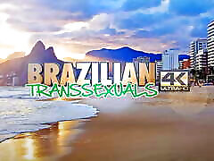 BRAZILIAN TRANSSEXUALS: Gaby Maia in new hot solo
