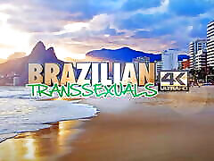 brazylijskie transseksualiści: anna pantaleao w nowym solo