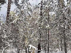 dysk ruchanie w śnieżnym lesie-para wychodzi z jej cipki wraz z spermą