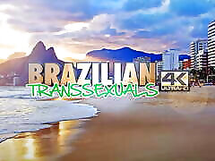 BRAZILIAN TRANSSEXUALS: Bombastic Return Of A Star
