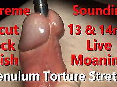 Extreme 13mm & 14mm Sounding Close-up Fetish Frenulum Torture Live moaning