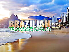 BRAZILIAN TRANSSEXUALS: Another Impecable Clash Of T-Titans