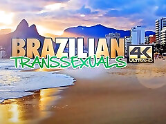 BRAZILIAN TRANSSEXUALS Great 2 Stars Only With Bombshells