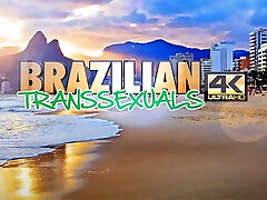 BRAZILIAN TRANSSEXUALS The Sensational Return Of A Star