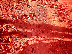 two shemale transjender desert sex with beautiful car