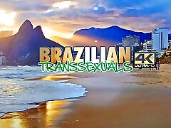 BRAZILIAN TRANSSEXUALS Stars Arriving