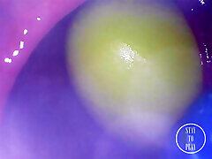 INSIDE ASS POV: The Eggs disappeared in the hole ...
