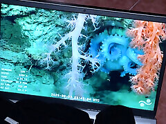 Anal in front of my cute ass Anal in front of my cute ass