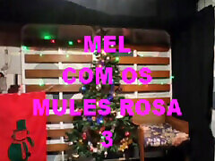 Honey with Pink Mules 3