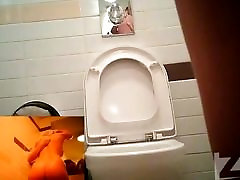 peeping in der Toilette hzwc hz wc1860