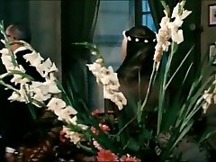 Catherine Deneuve in xard dogystalepob De Jour 1967