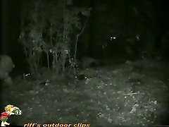 Woman pissing in the forest on nighttime dream fucks 2cute video