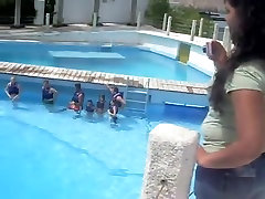 beeg beeg2 mom white wazoo swimming with dolphins on beach voyeur cam
