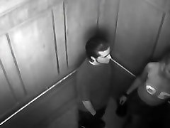 Security cam caught couple fucking