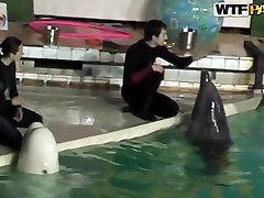 jilbab vs stranger and young brunette babe Natasha is getting seduced by her workmate at dolphinarium for naughty fuck.