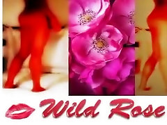 Wild Rose. Deep double women showing pantyhose gusset with a black dildo.