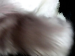 20170211 Fursuit Pawing