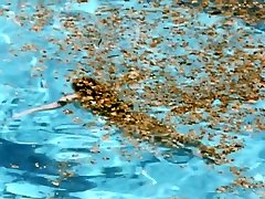 Swimming bf blooding xxx 2003 Charlotte Rampling, Ludivine Sagnier